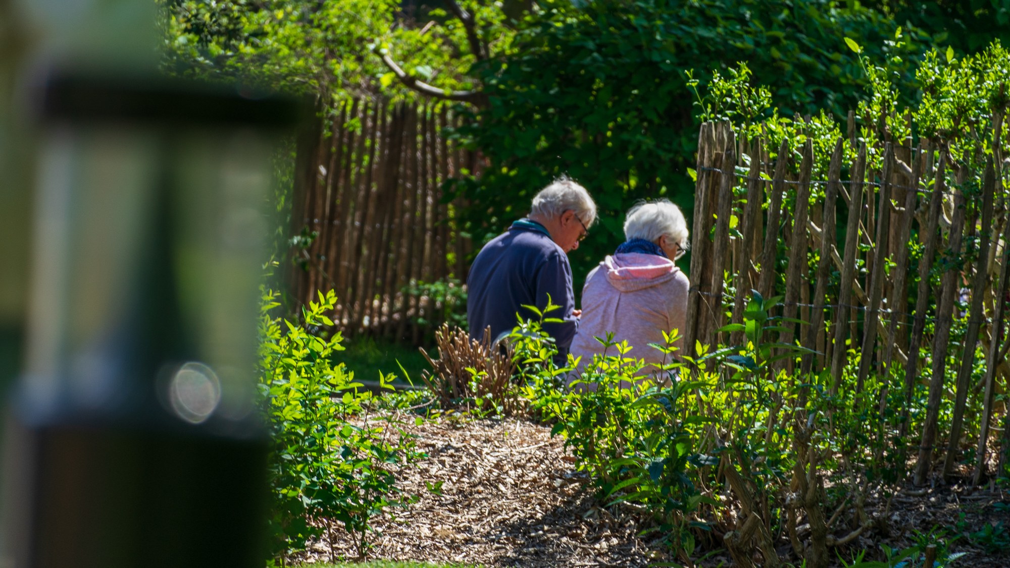 Deux personnes se promènent dans un jardin fleuri.